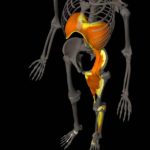 立っていると痛い腰痛のセルフケア-横須賀整体スタジオ｜背中のハリ・腰痛に効く整体院