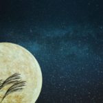 自律神経失調症のメンタルケア‐自覚法と鏡の法則 ‐ 横須賀整体スタジオ｜背中のハリ・腰痛に効く整体院