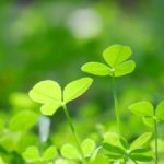 「健康観・治療家とは？」 ‐ 横須賀整体スタジオ｜背中のハリ・腰痛に効く整体院