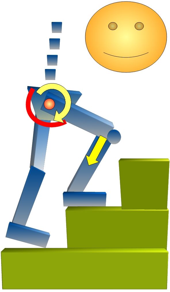 骨盤前傾階段上がり