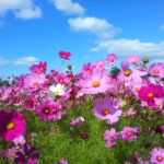 口癖に注意！慢性的な不調と引き寄せの法則 ‐ 横須賀整体スタジオ｜背中のハリ・腰痛に効く整体院